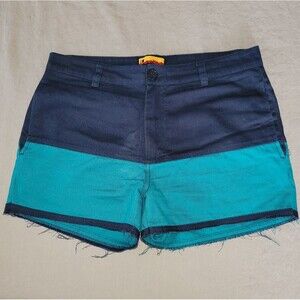 Brooklyn Industries Size 30 Mens Blue Green Color Block Short Shorts